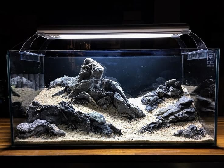 Showroom display