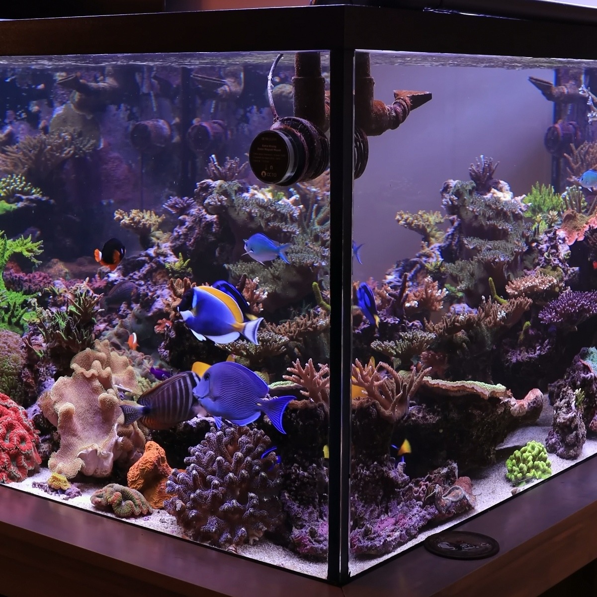 Showroom display